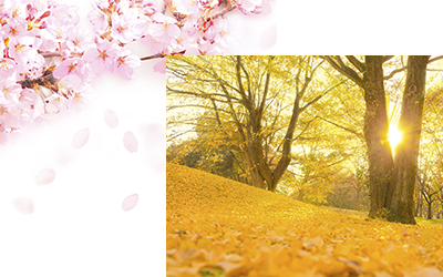 エアコンクリーニングの頻度